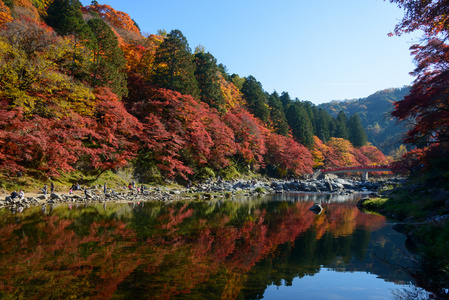 在 Korankei，日本爱知县的秋叶