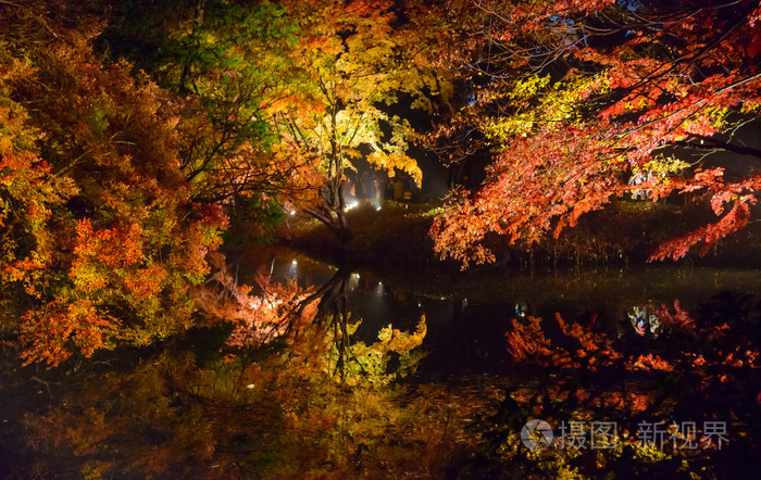 秋叶在 Rikugien 花园，驹込，东京