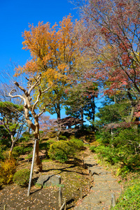 秋叶在圭古川花园，东京