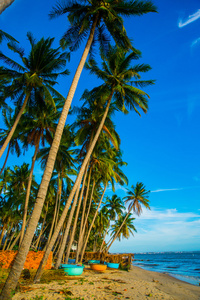 蓝色的天空的棕榈树。圆形的小船。越南，美奈亚