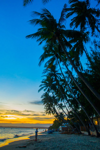 越南，美奈，亚洲，棕榈树为背景，一个美丽的黄昏