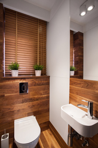 现代木制厕所