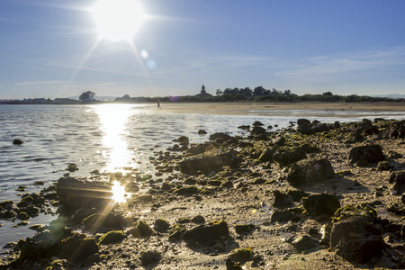 人们在塔维拉的 ria formosa 自然保护区 ria formosa 自然保护区 quauraguas 东部海滩享受春天