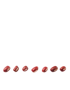 白色背景上的红色阿祖基豆