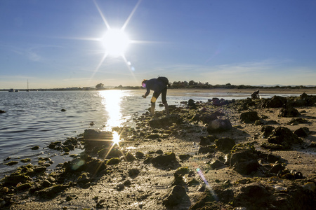 人们在塔维拉的 ria formosa 自然保护区 ria formosa 自然保护区 quauraguas 东部海滩享受春天