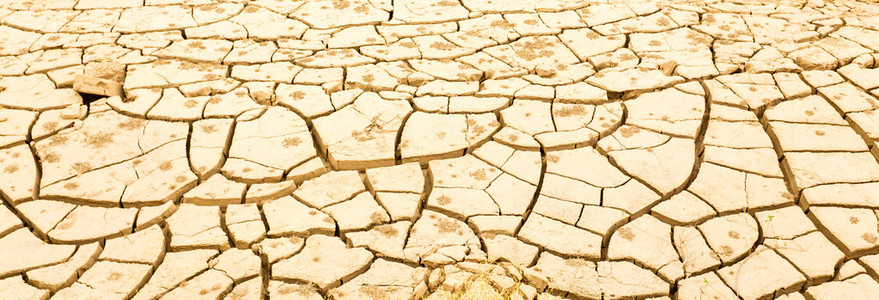 干旱区土壤表面裂纹