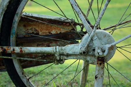 在绿色背景上的旧自行车车轮。