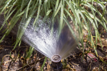 花园浇水花坛的自动灌溉系统起泡器