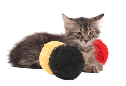 红色和黑色的羊毛球的小猫