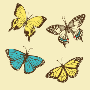 手工绘制的蝴蝶