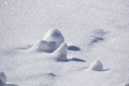 冬天的雪，一丛丛