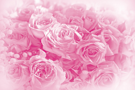 美丽的粉红色玫瑰花束在柔软的背景上。邀请证