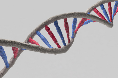 染色体的字符串图片