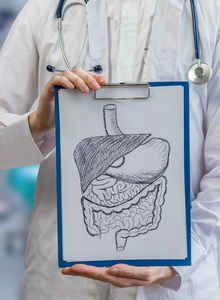内科医生拥有剪贴板消化系统绘图