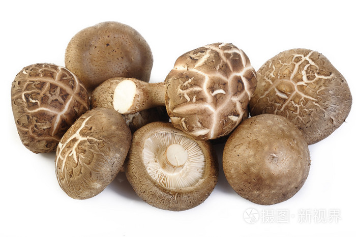 新鲜香菇孤立在白色的背景照片-正版商用图片1jeu10-摄图新视界