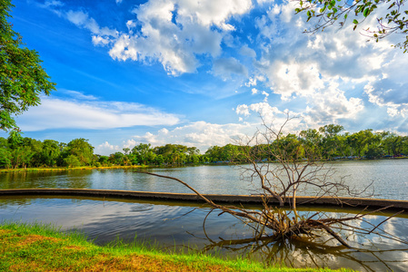 国家湖泊公园与枯树对前景的看法