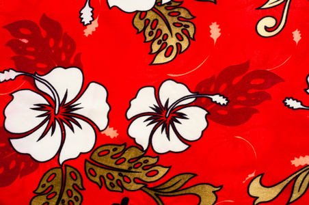 植物的纤维图片-植物的纤维素材-植物的纤维插画-摄图新视界