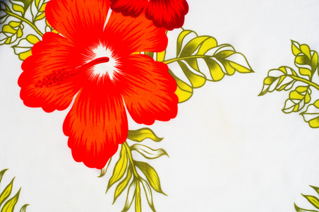 棉布纹理背景在白色背景上涂上红花。 环绕热带和亚热带植物种子的柔软的白色纤维物质