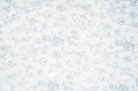 棉布纹理背景白色与彩绘花。 环绕热带和亚热带植物种子的柔软的白色纤维物质