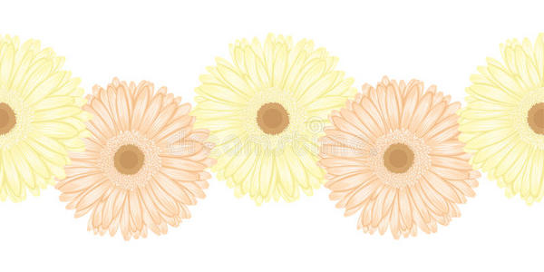 非洲菊 洋甘菊 花的 卡片 轮廓 形象 花环 艺术 分支