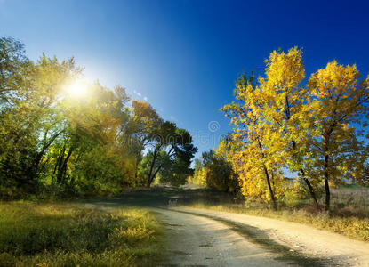 秋天的风景。路