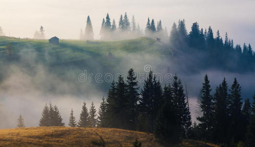 美丽的夏季山景