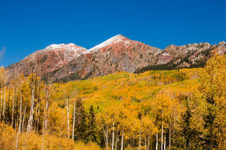 科罗拉多州凤头山的秋天的颜色