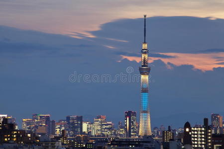 东京天空树