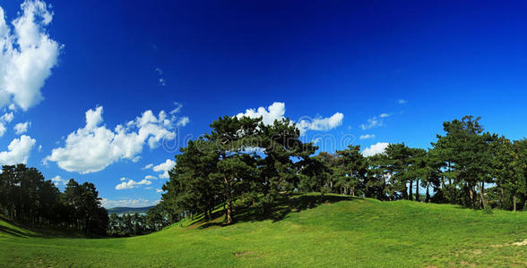 美丽的风景