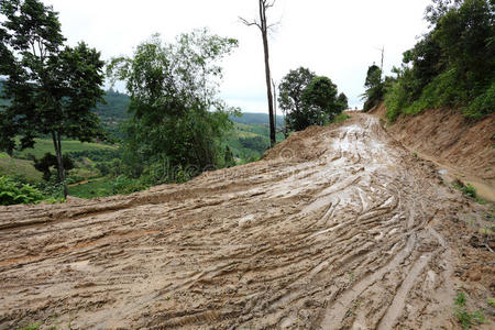 附近的田野乡间道路穿过冬天的乡村场景春天空荡荡的乡间道路一只斑鸠