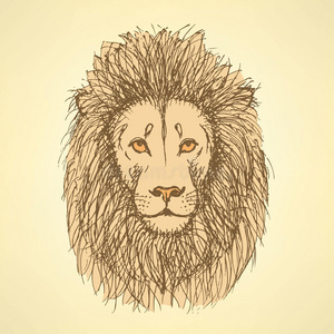 颜色 国王 绘画 动物 美女 狮子座 偶像 捕食者 非洲