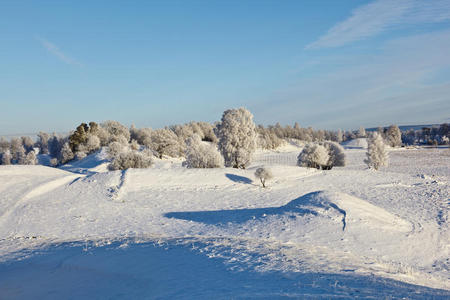 冬季雪景