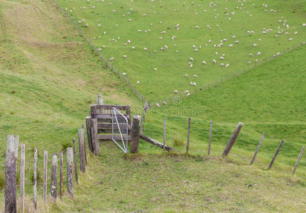 田野围栏，山景和羊场。