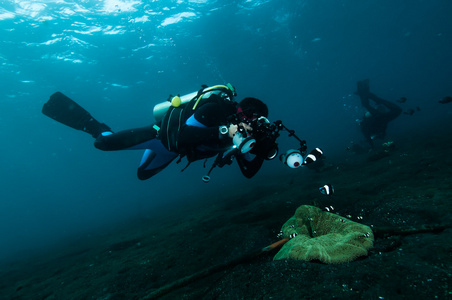 潜水员拍一张照片视频后珊瑚蓝碧印度尼西亚水肺潜水