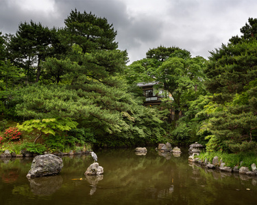 苍鹭在 pondin，圆山公园，京都，j 的石头上坐