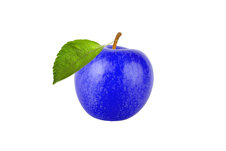 蓝苹果，叶白底分离
