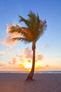 迈阿密海滩，佛罗里达州多姿多彩的夏天日出或日落与棕榈树