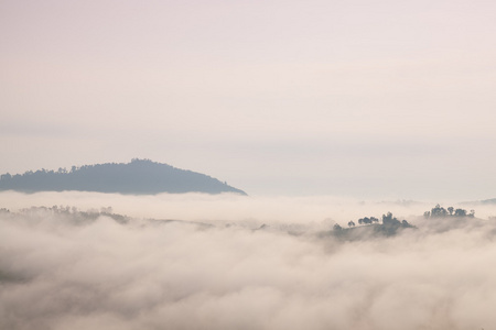 雾覆盖群山和森林在早晨