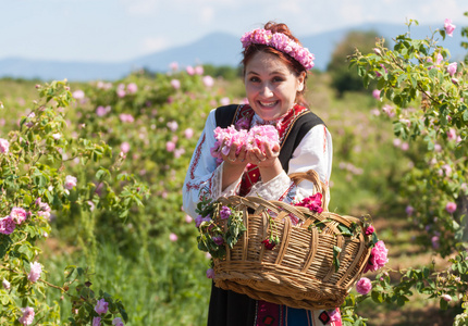 在保加利亚玫瑰采摘节期间构成的女孩