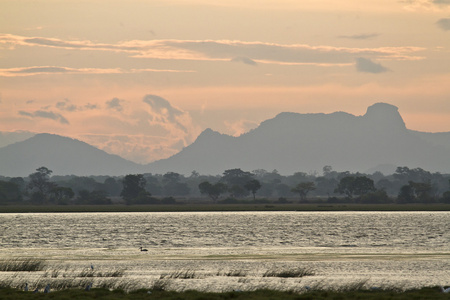 日出在阿鲁加姆湾 lagoo，斯里兰卡