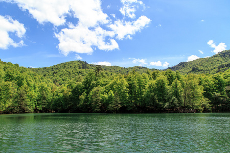 湖景