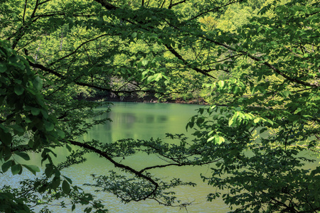 湖景