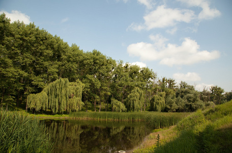 夏天风景