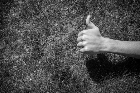 拇指在草地上