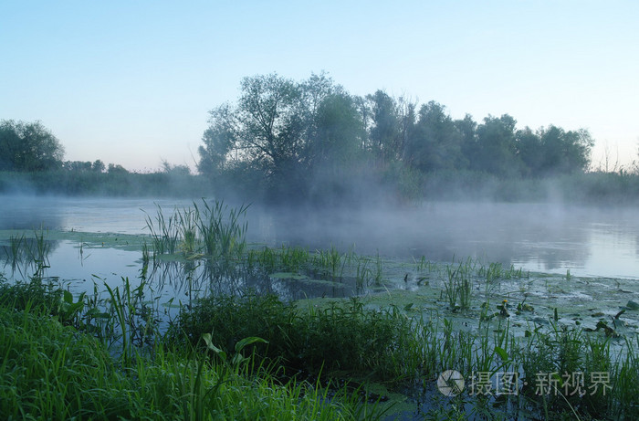 今天上午与雾在河上的景观