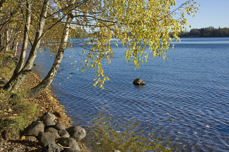 坦佩雷的 pyhajarvi 湖。芬兰