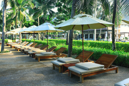 日光浴浴床附近酒店与棕榈树