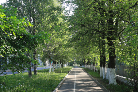 城市公园景观