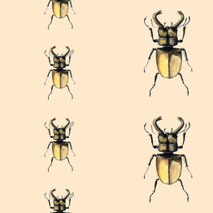 水彩甲虫无缝背景。