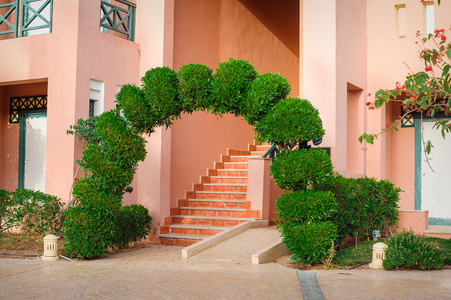 美丽的绿色拱门，装饰树